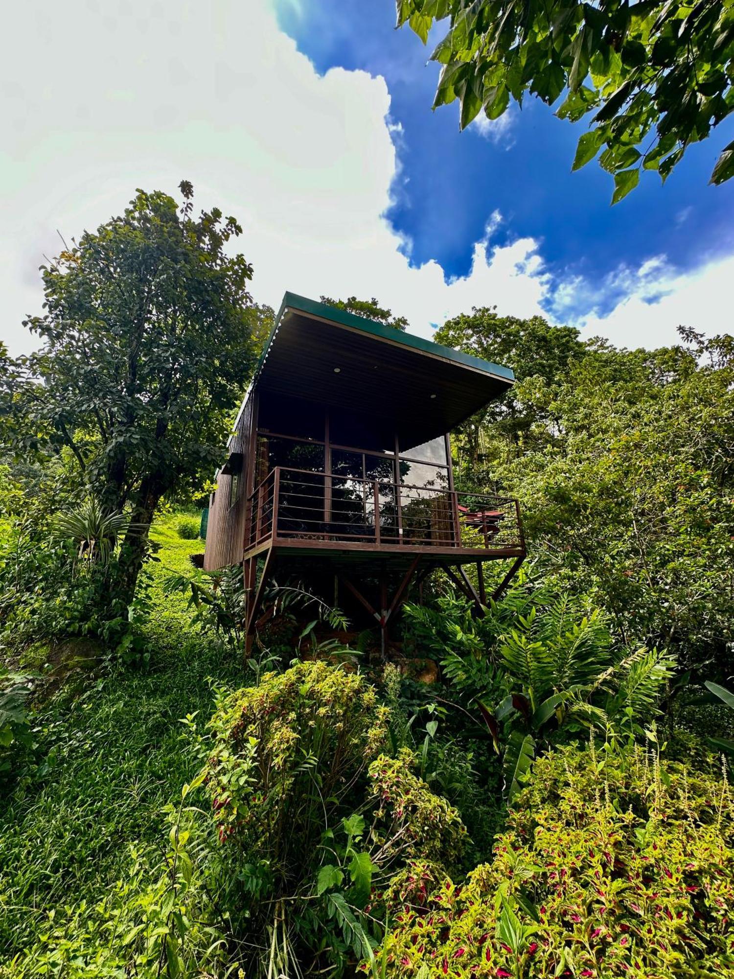 Hotel De Montana El Pelicano San Isidro De El General Eksteriør bilde